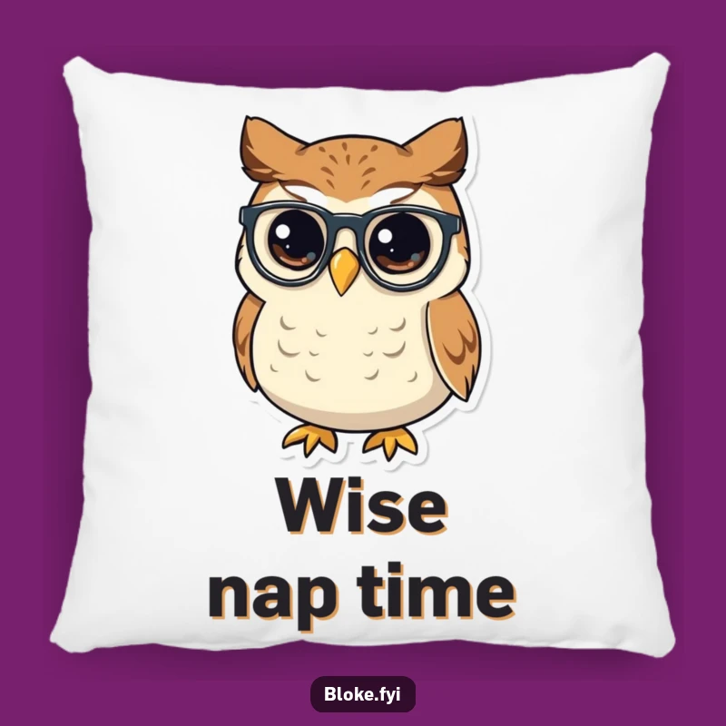 Cozy Funny Owl Spectacles Pillow, Wise Accent Cushion, Intellectual Comfort Decor